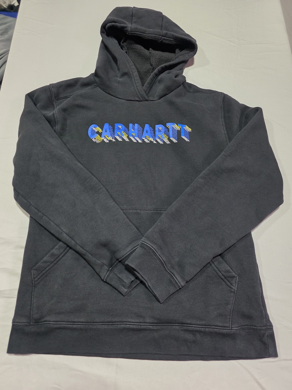 Carhartt Hooded Sweatshirt in Black with Blue Accent Logo